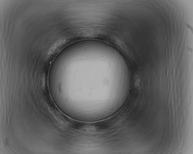 X0000103330685200809121211