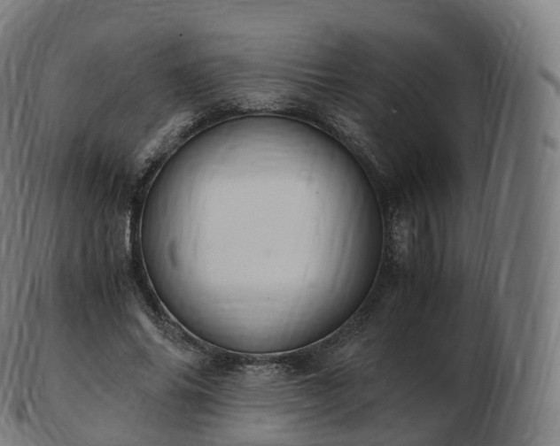 X0000103330686200809121211