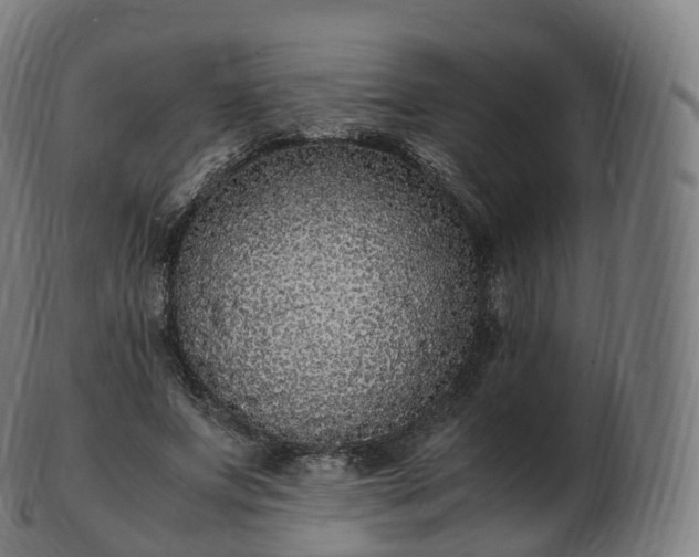 X0000103330687200809121211