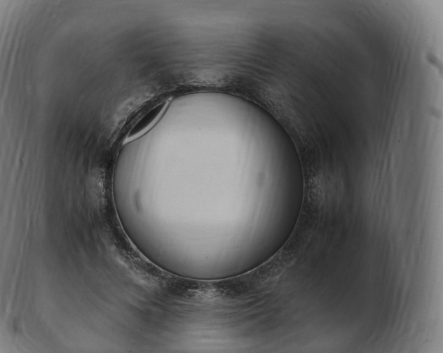 X0000103330688200809121210