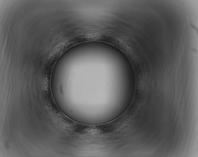 X0000103330689200809121210