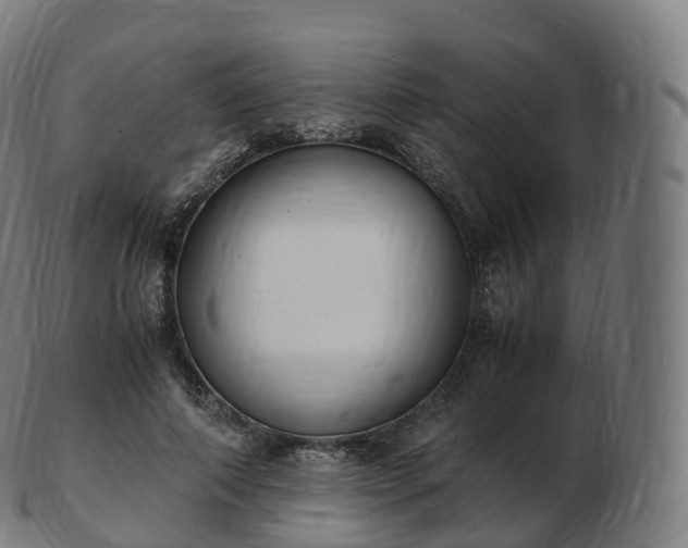 X0000103330690200809121210