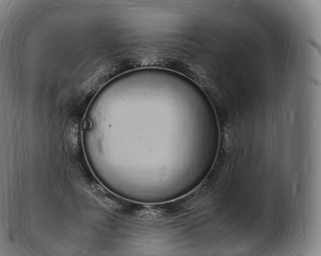 X0000103330691200809121210