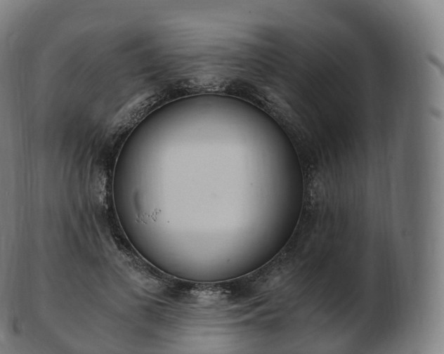 X0000103330693200809121210