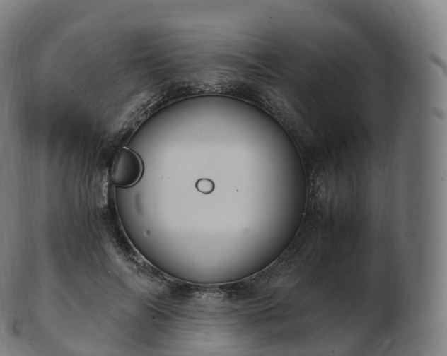 X0000103330694200809121210