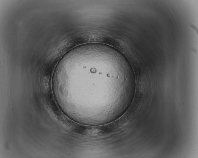 X0000103330695200809121210