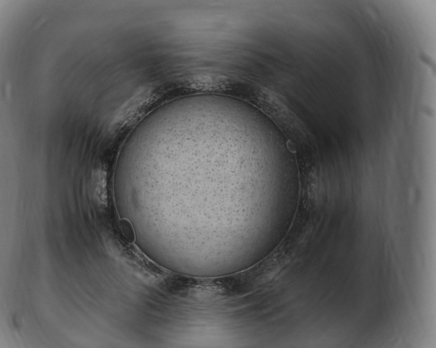 X0000103330696200809121210