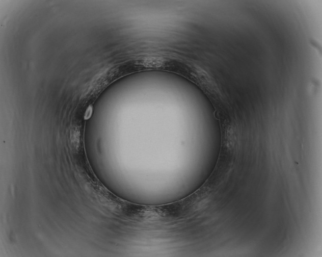 X0000103330697200809121210