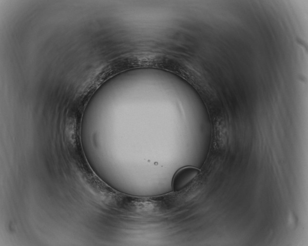 X0000103330698200809121210