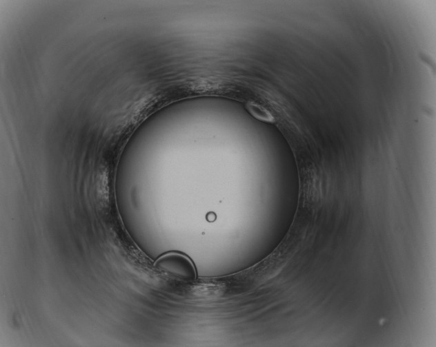 X0000103330700200809121210