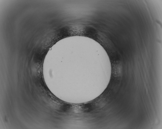 X0000103330701200809121210