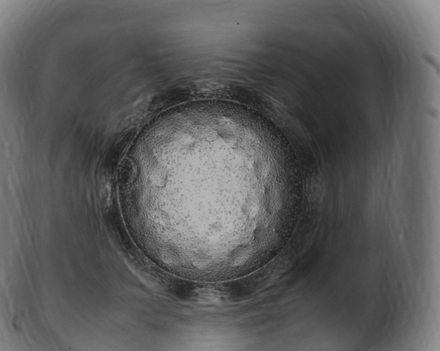 X0000103330703200809121210