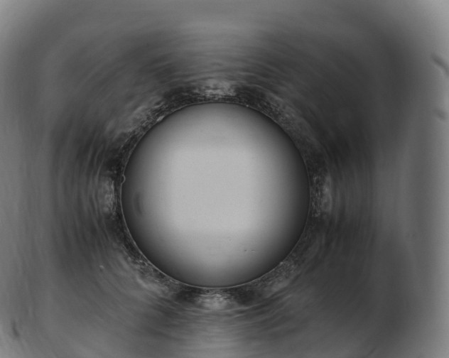 X0000103330704200809121210