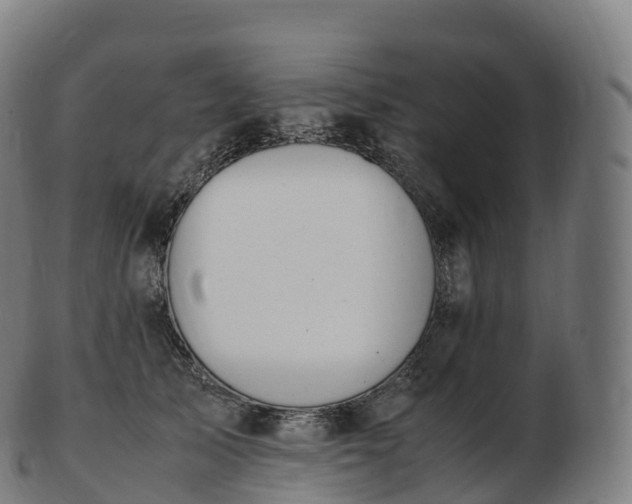 X0000103330705200809121210