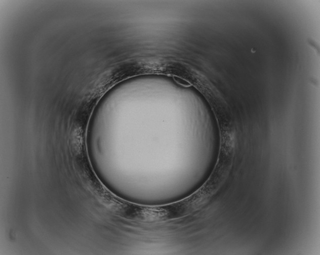 X0000103330707200809121210