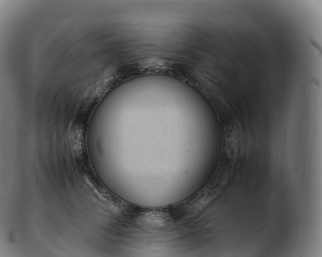 X0000103330708200809121210