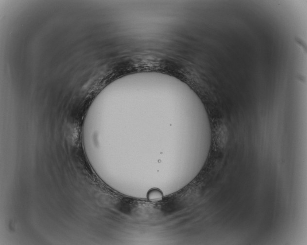 X0000103330709200809121210