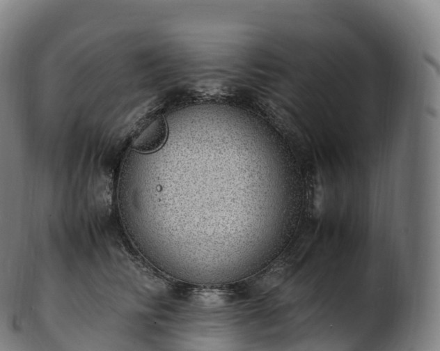 X0000103330710200809121210