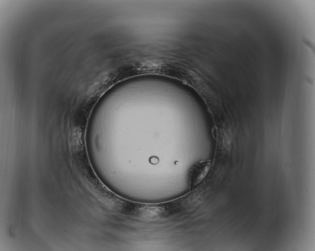 X0000103330711200809121210