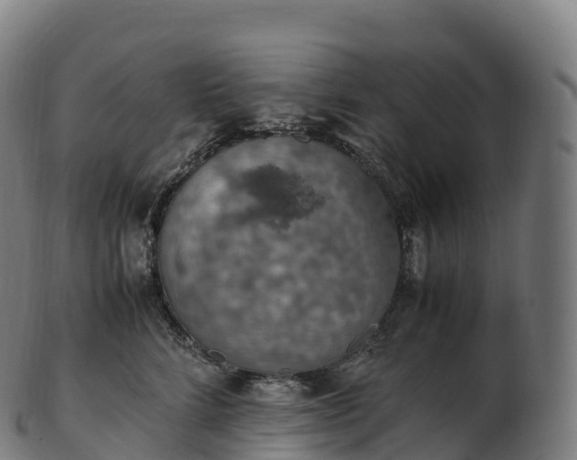 X0000103330712200809121210