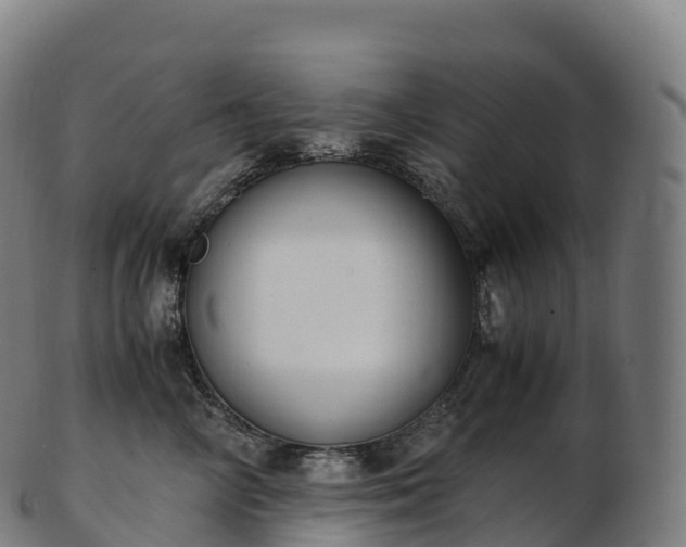 X0000103330714200809121210