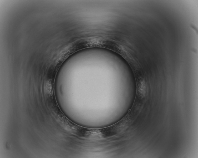 X0000103330715200809121210