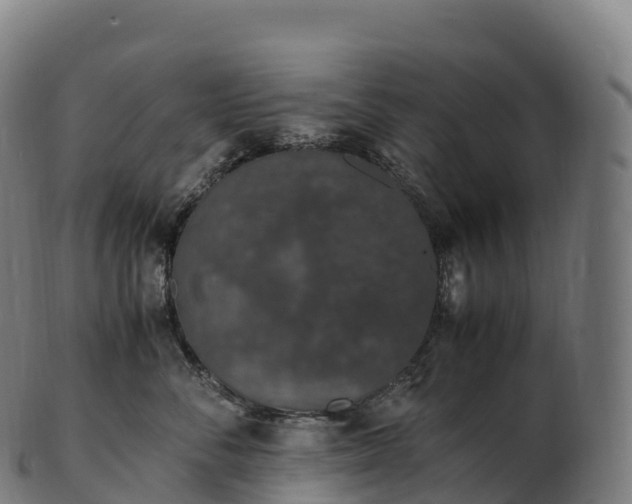 X0000103330716200809121210