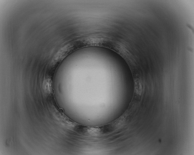 X0000103330718200809121210