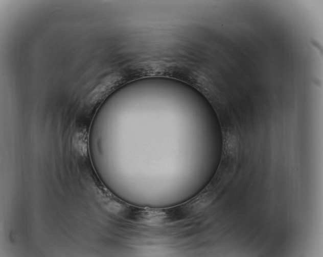 X0000103330719200809121210