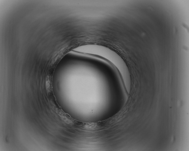 X0000103330720200809121210