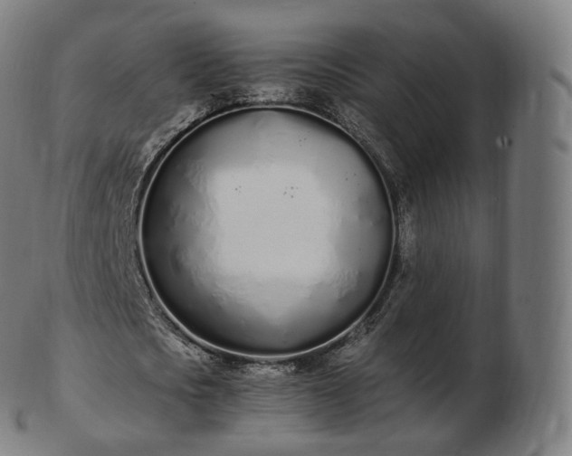 X0000103330721200809121209