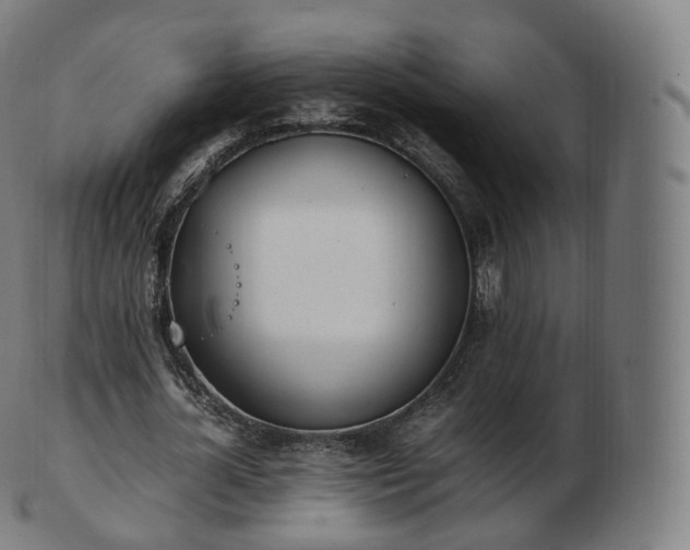 X0000103330724200809121209