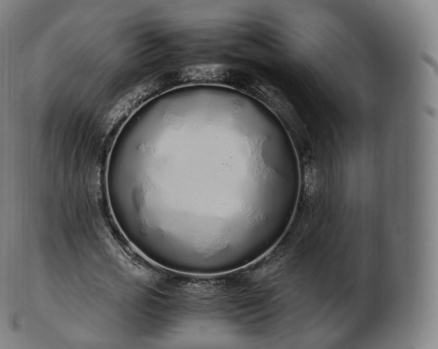 X0000103330725200809121209