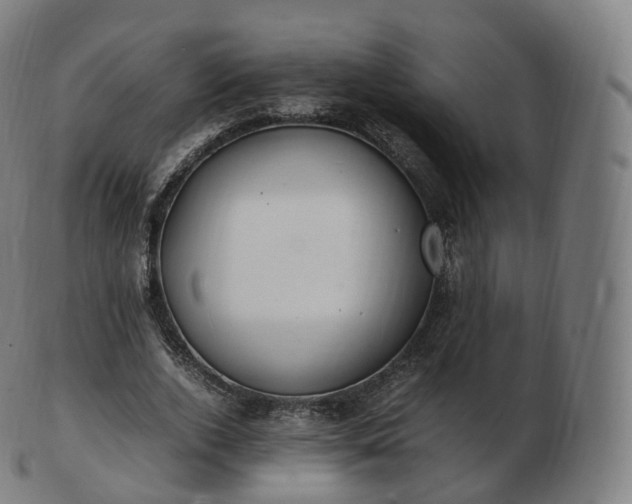 X0000103330728200809121209