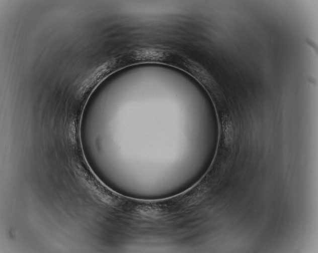 X0000103330729200809121209