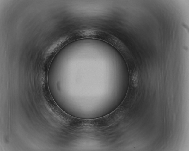 X0000103330732200809121209