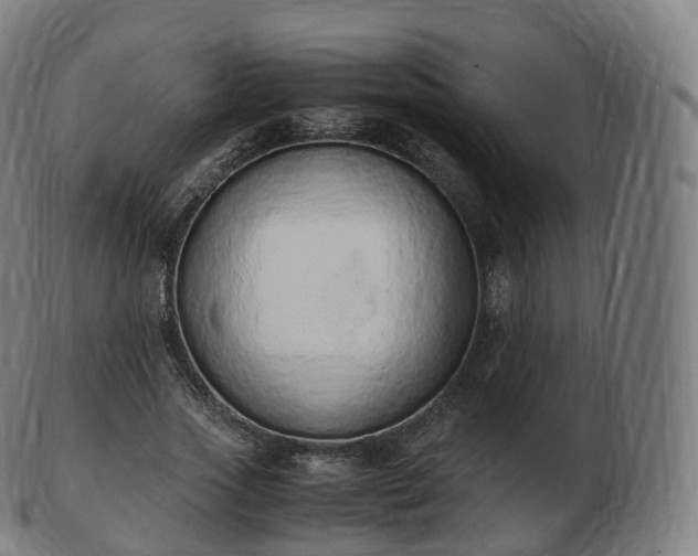 X0000103330733200809121209