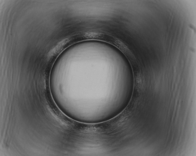 X0000103330734200809121209