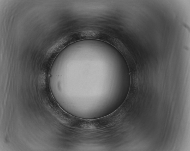 X0000103330735200809121209