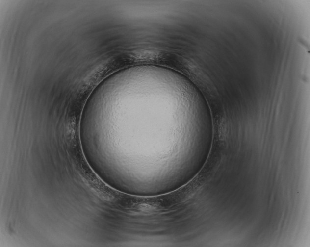 X0000103330737200809121209