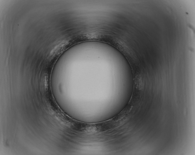 X0000103330740200809121209