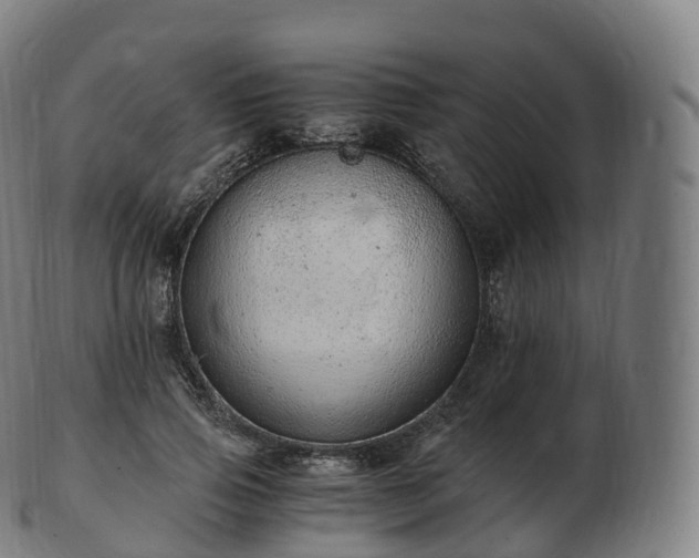 X0000103330741200809121209