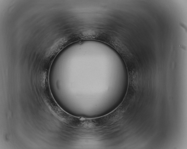 X0000103330742200809121210