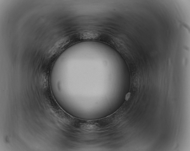 X0000103330743200809121210