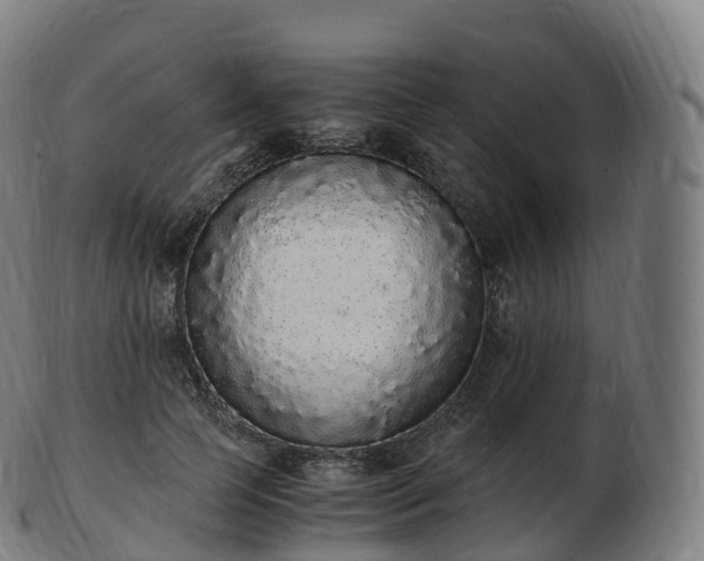 X0000103330745200809121210