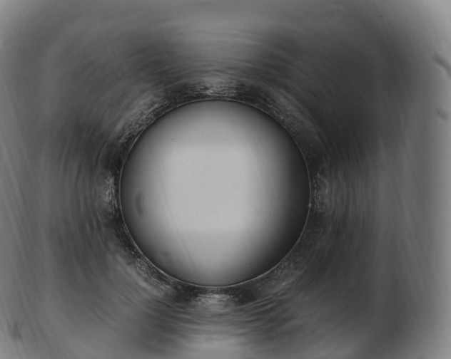 X0000103330748200809121210