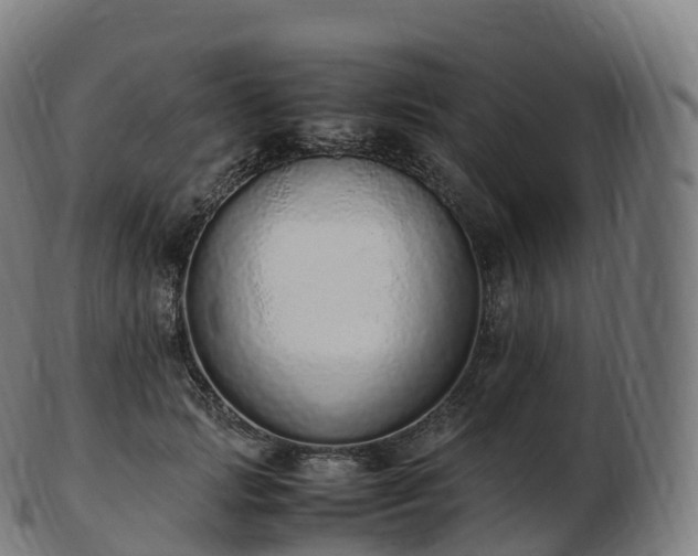 X0000103330749200809121210