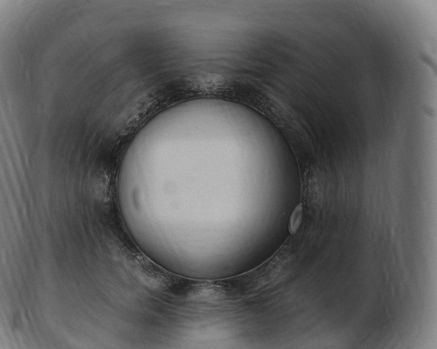 X0000103330750200809121210