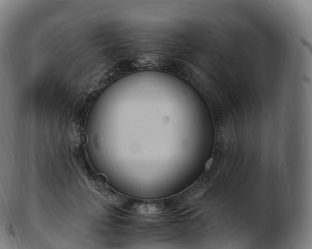 X0000103330751200809121210