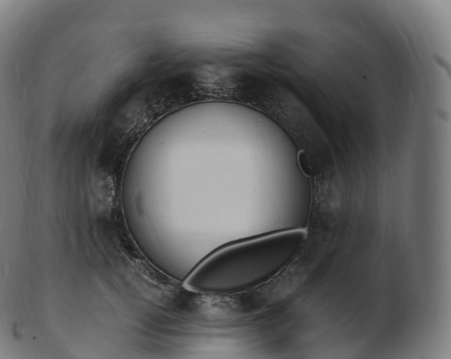 X0000103330752200809121210